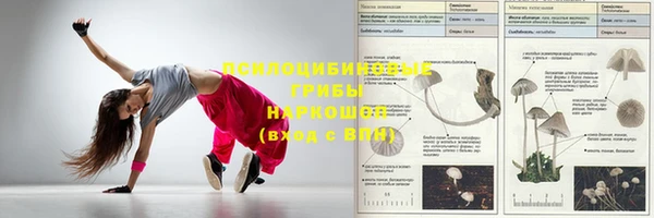 мет Заводоуковск