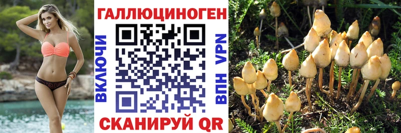 Псилоцибиновые грибы мухоморы  Купить где  Болохово 